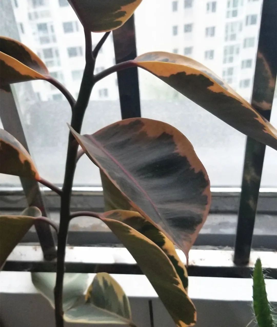 微信图片_20220420101212.jpg 微信图片_20220420101212.jpg