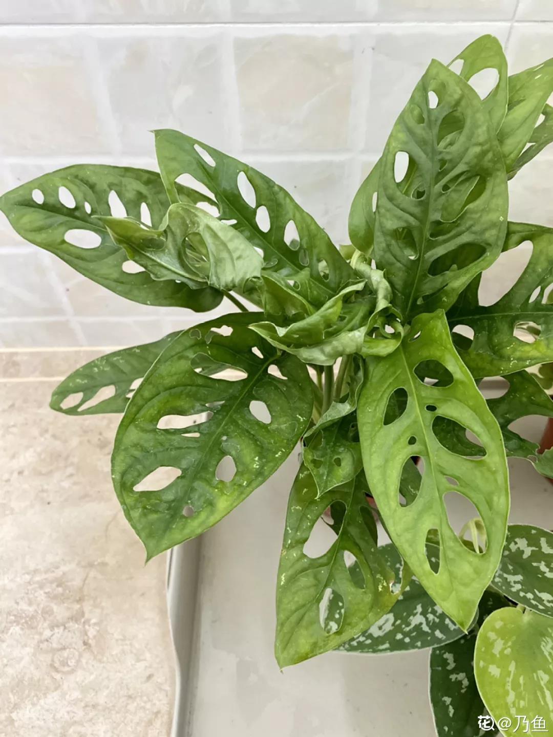 微信图片_20211123154927.jpg 微信图片_20211123154927.jpg