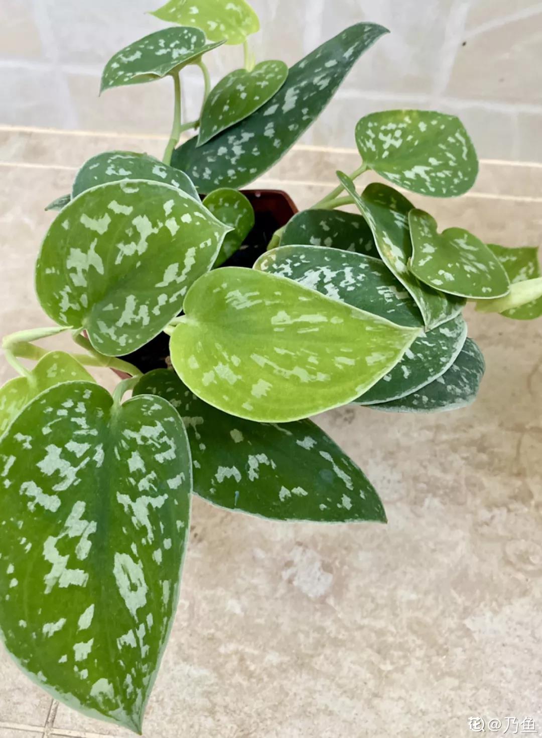 微信图片_20211123154943.jpg 微信图片_20211123154943.jpg