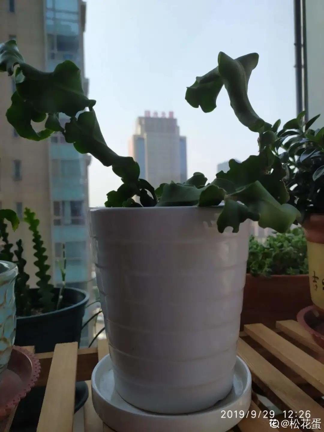 微信图片_20211123155004.jpg 微信图片_20211123155004.jpg