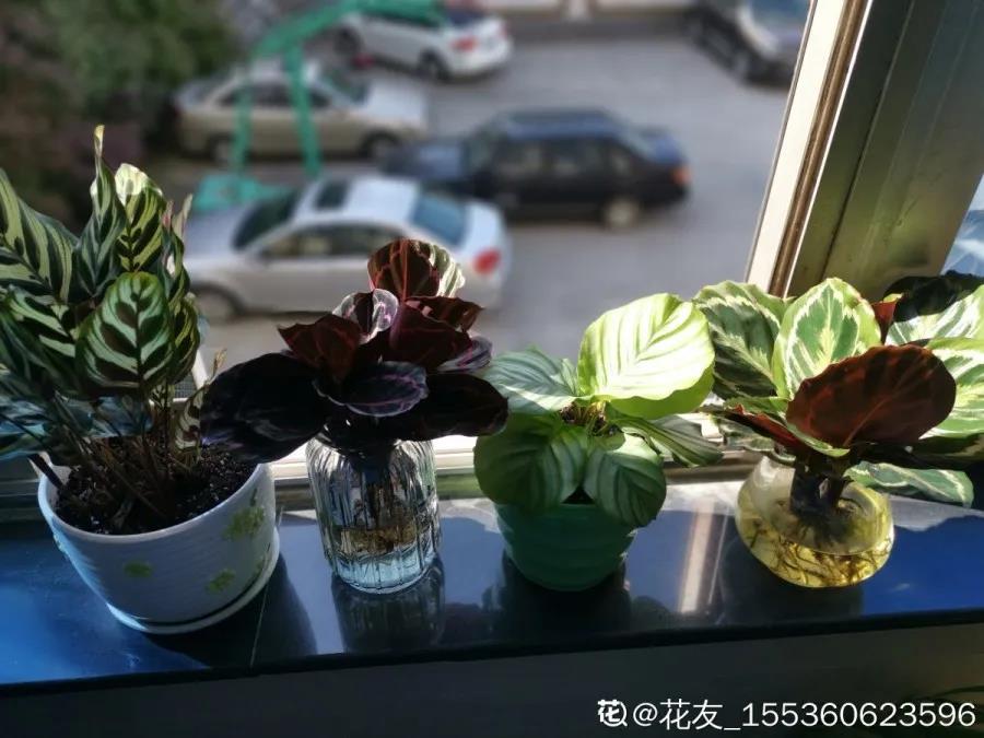 微信图片_20211123155022.jpg 微信图片_20211123155022.jpg