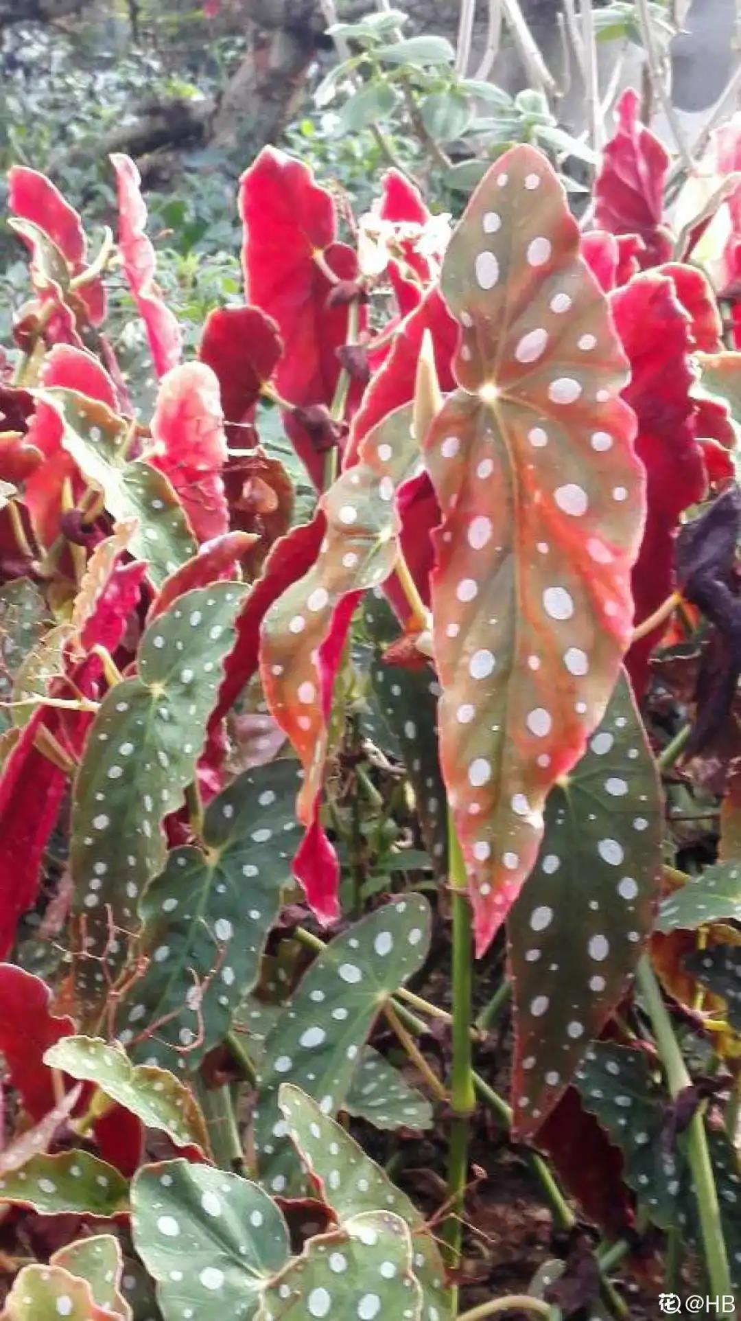 微信图片_20211123155028.jpg 微信图片_20211123155028.jpg