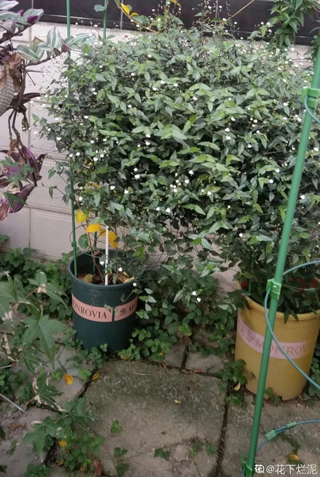 微信图片_20211123155053.jpg 微信图片_20211123155053.jpg