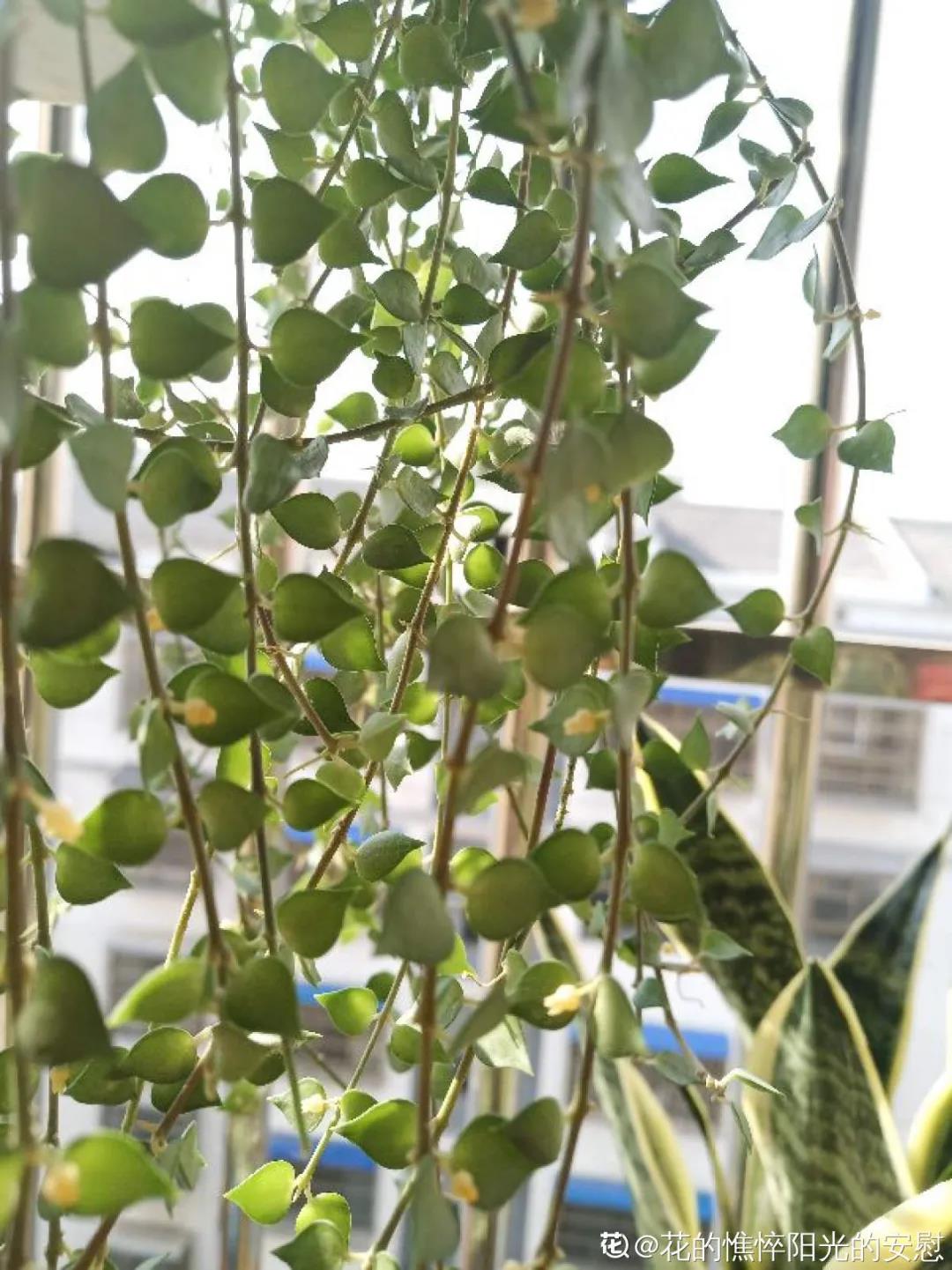 微信图片_20211123155110.jpg 微信图片_20211123155110.jpg