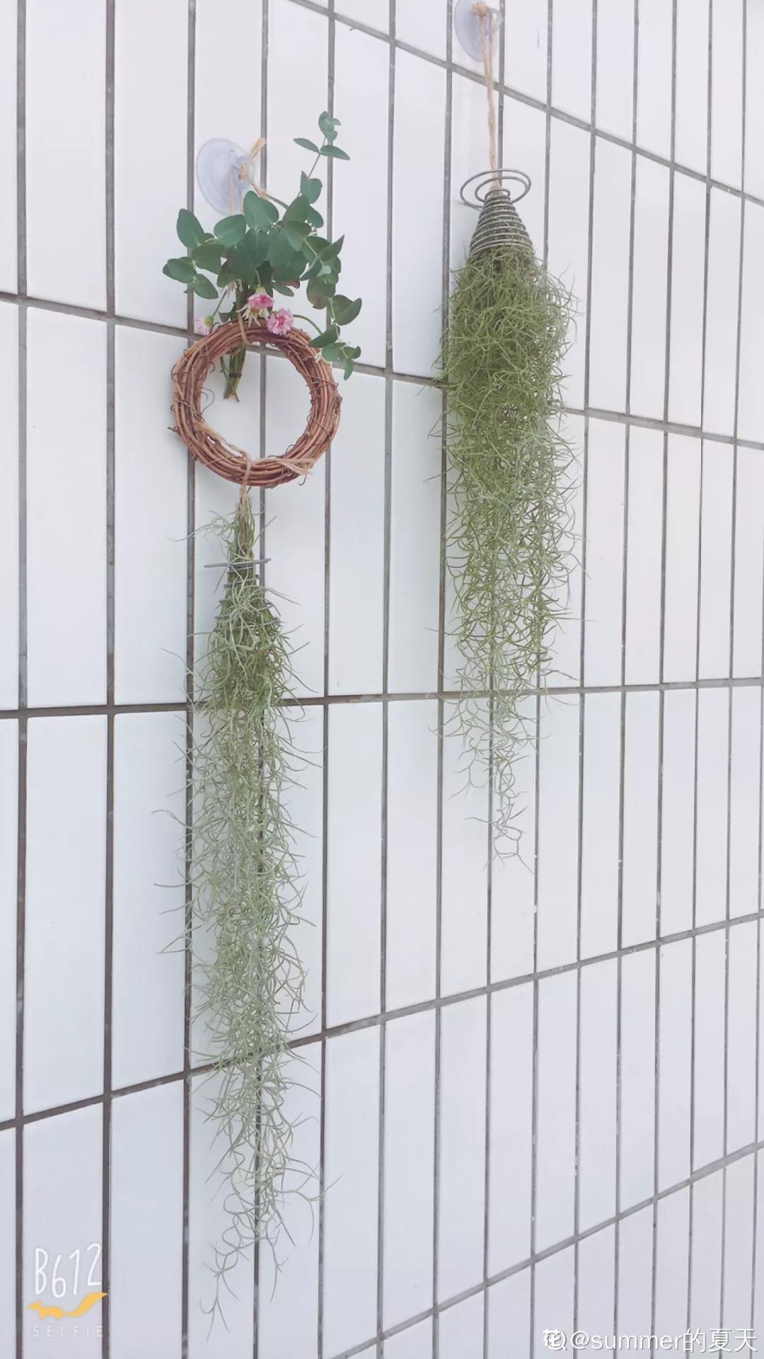 微信图片_20211123155152.jpg 微信图片_20211123155152.jpg