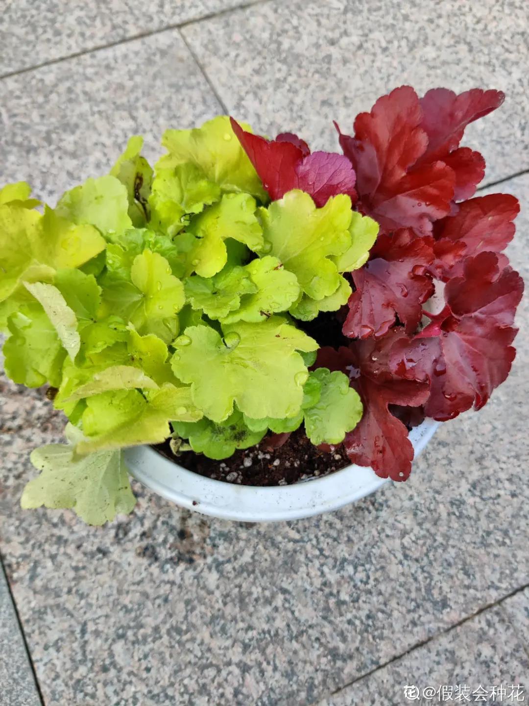 微信图片_20211123155222.jpg 微信图片_20211123155222.jpg