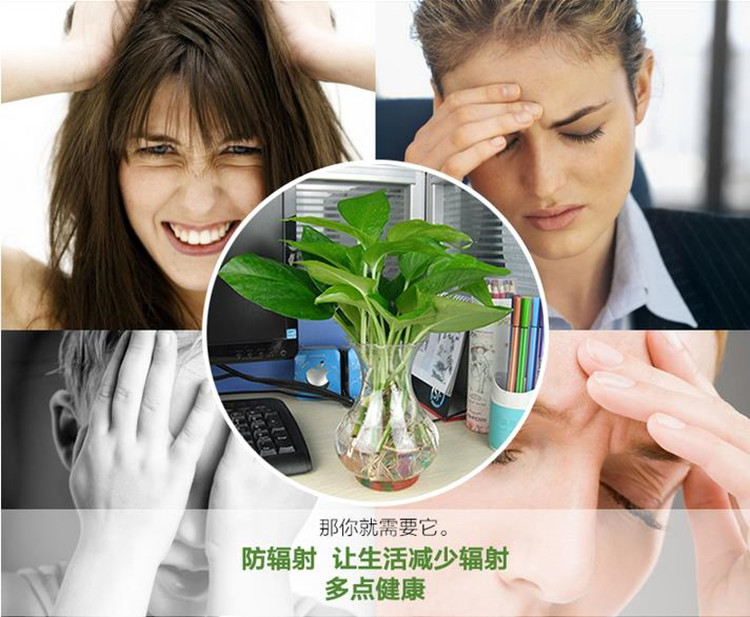 TB2ip5uXazyQeBjy0FgXXbnsVXa_!!856950976.jpg TB2ip5uXazyQeBjy0FgXXbnsVXa_!!856950976.jpg