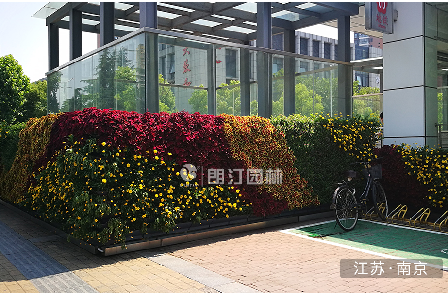 1598238492693866.jpg 1598238492693866.jpg