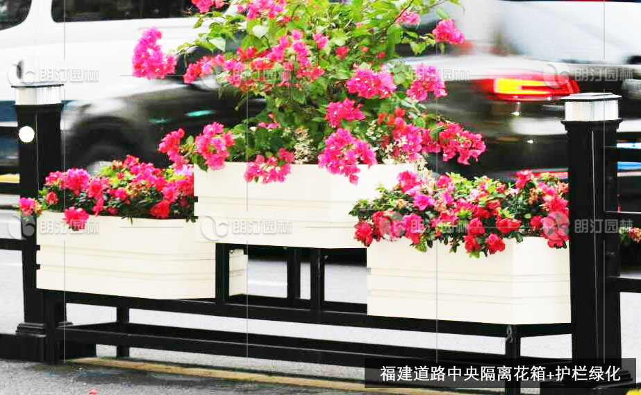 1596440780260570.jpg 1596440780260570.jpg